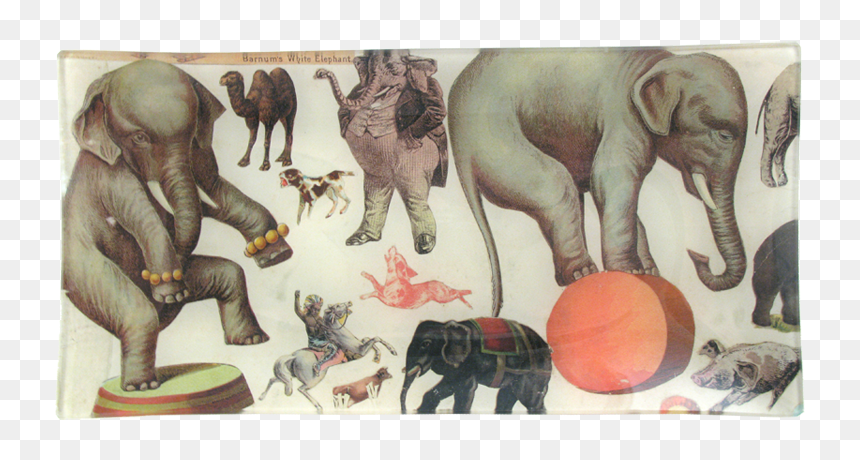 Indian Elephant, HD Png Download - white elephant png