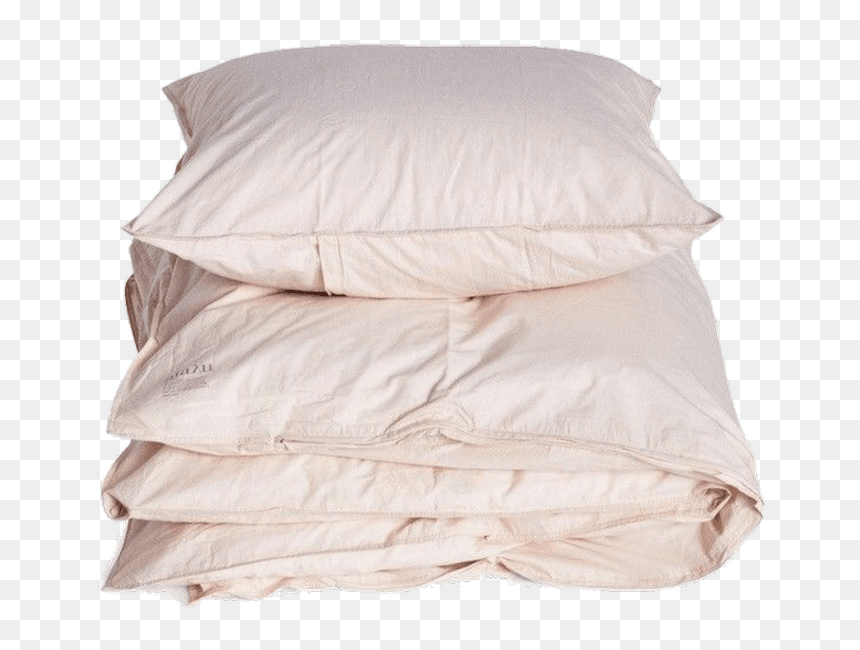 Moodboard Pillow Png, Transparent Png - chris benoit png