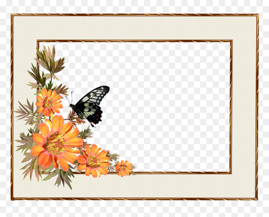 Frame Png Golden Frame Border, Transparent Png - butterfly border png