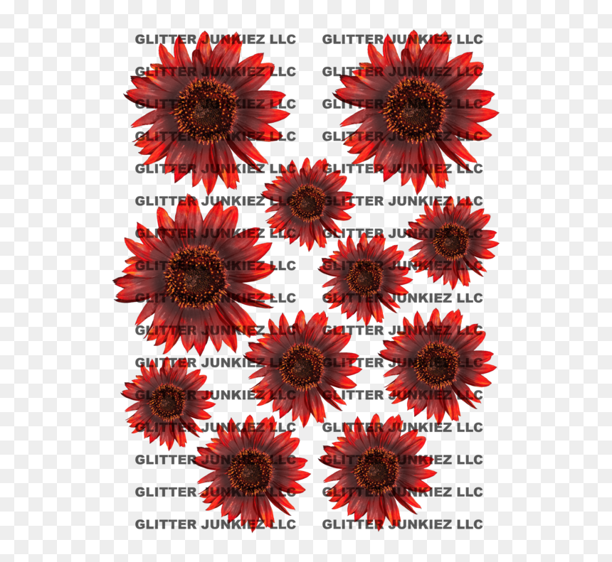 Black-eyed Susan, HD Png Download - watercolor sunflower png