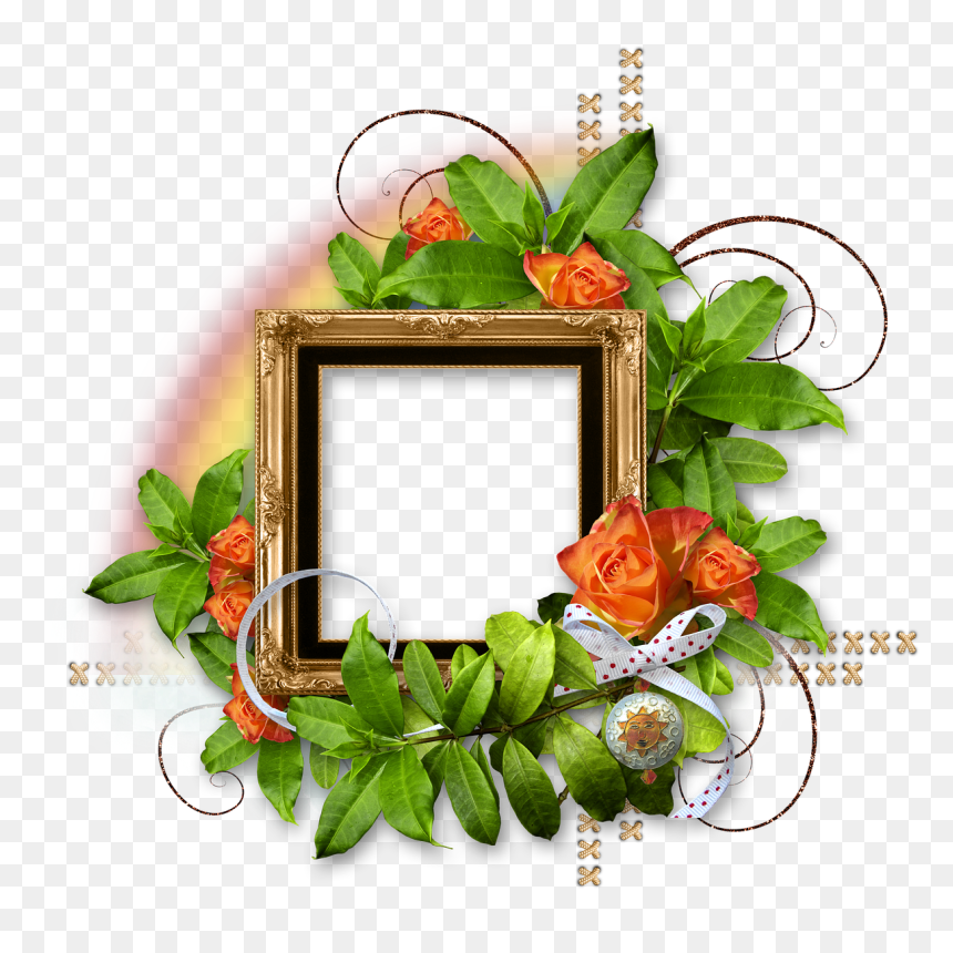 Hybrid Tea Rose, HD Png Download - rainbow frame png