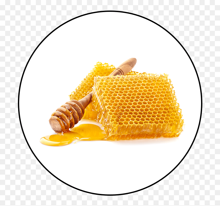Innolife Propolis, HD Png Download - honeycomb texture png