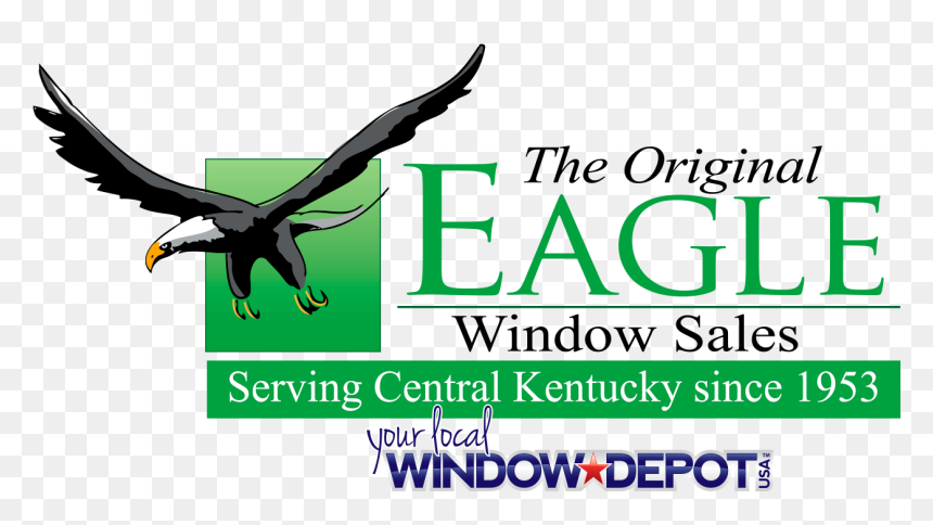 Eagle, HD Png Download - usa eagle png