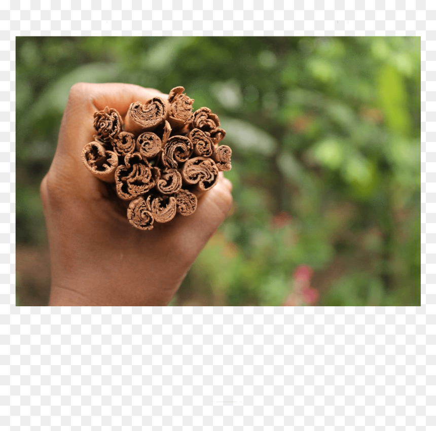 Ring, HD Png Download - honeycomb texture png