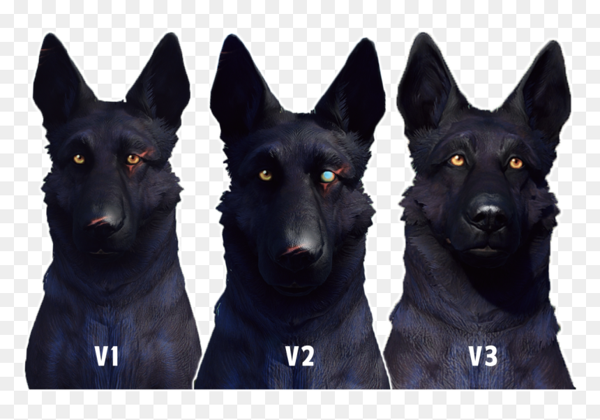 Companion Dog, HD Png Download - dogmeat png