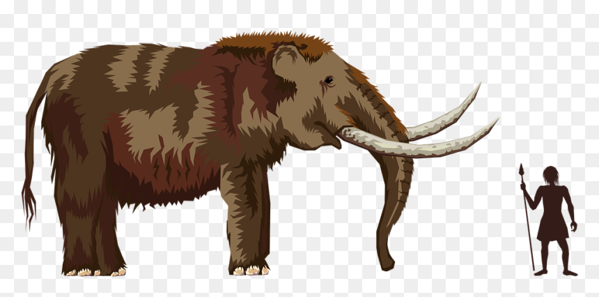 Transparent Wooly Mammoth Clipart - Cenozoic Era Mammals, HD Png Download - ice age png