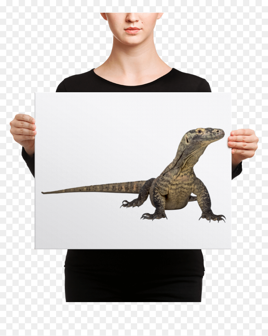Deep Lounge Cd , Png Download - Christian Canvas Art, Transparent Png - komodo dragon png