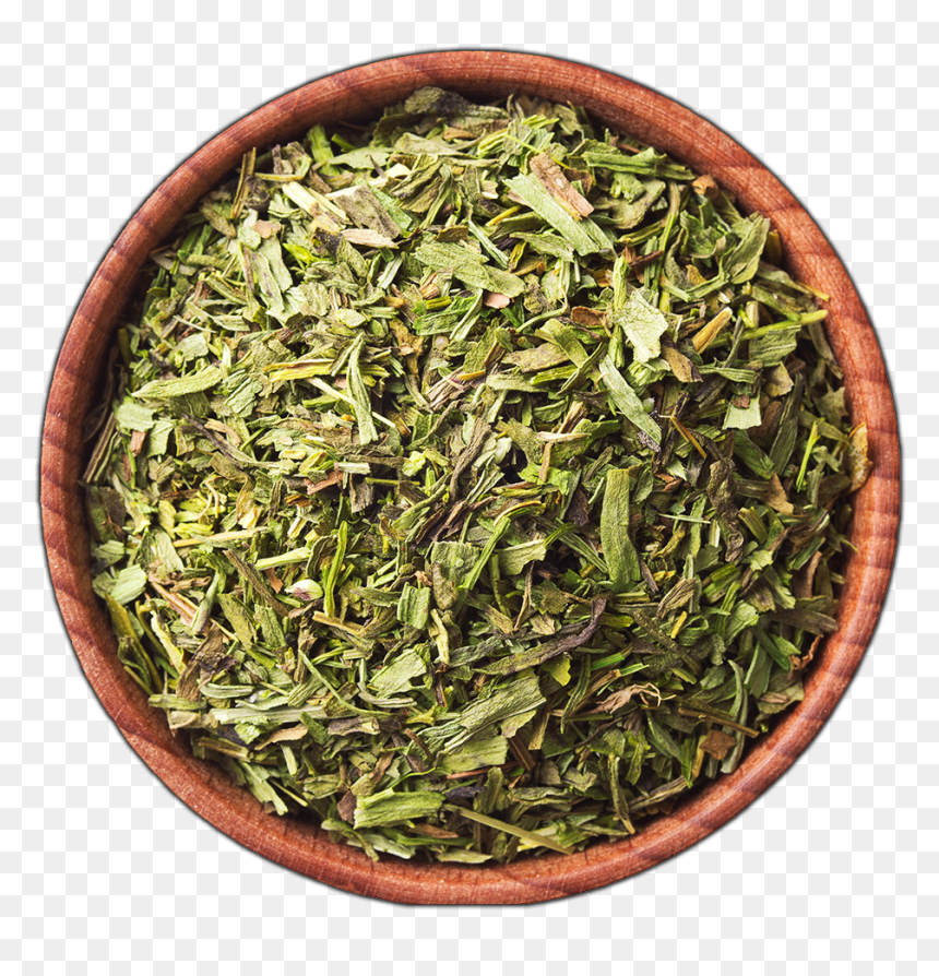 Groundcover Png , Png Download, Transparent Png - groundcover png