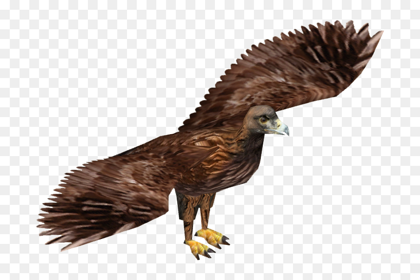 Golden Eagle - Zoo Tycoon 2 Eagle, HD Png Download - golden eagle png