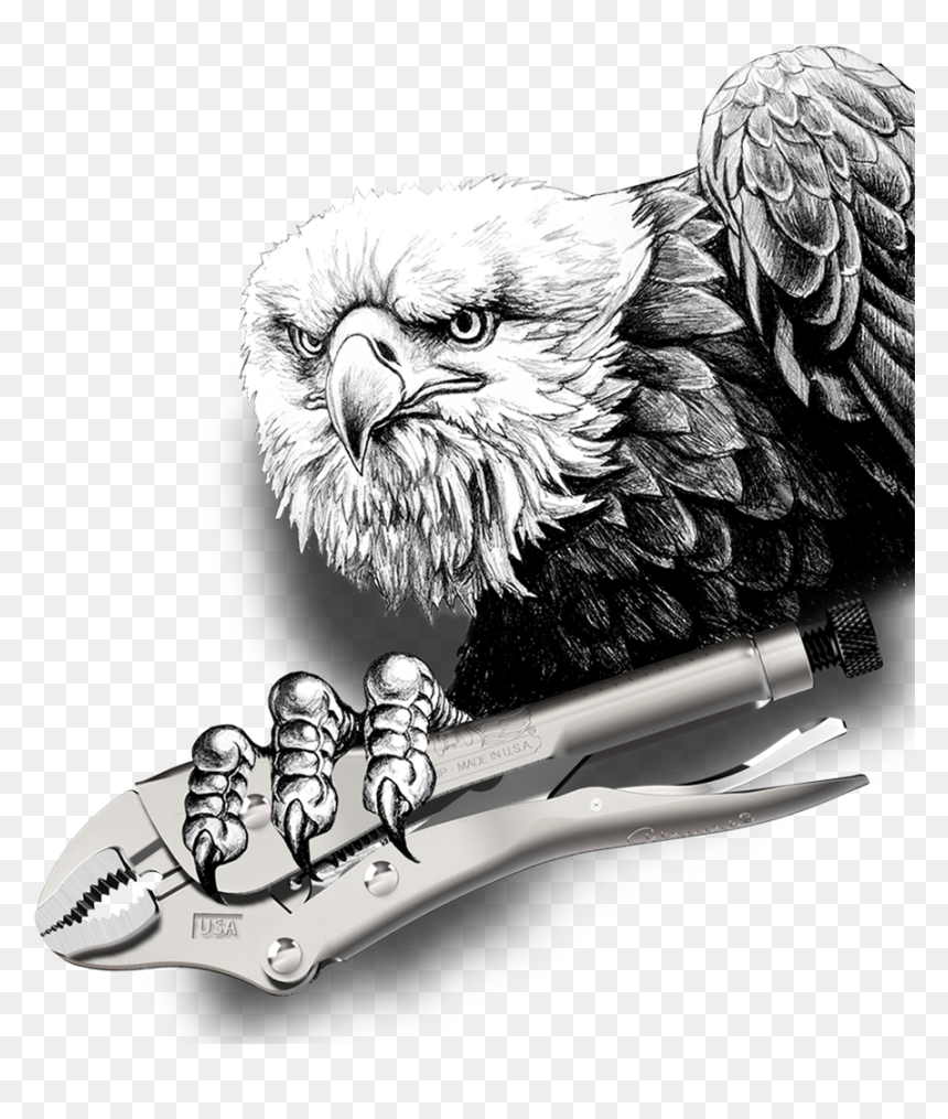 "
 Title="eagle"
 Class="max-image Lazyload - Eagle And Flag Drawings, HD Png Download - usa eagle png