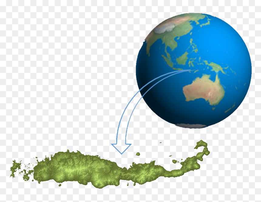 Vector Graphics, HD Png Download - komodo dragon png