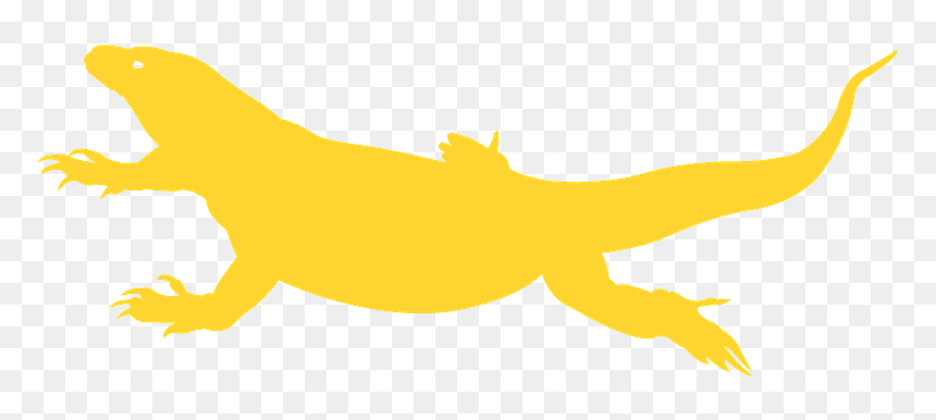 Illustration, HD Png Download - komodo dragon png
