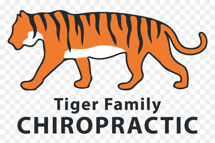 Chiropractor In Columbia, Mo - Bengal Tiger, HD Png Download - bengal tiger png