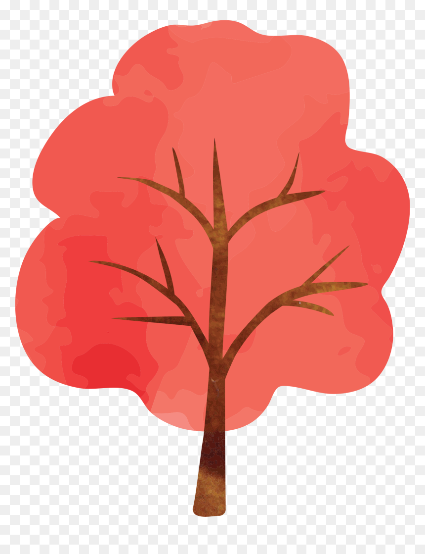 Red Maple Photography - Illustration, HD Png Download - red maple png