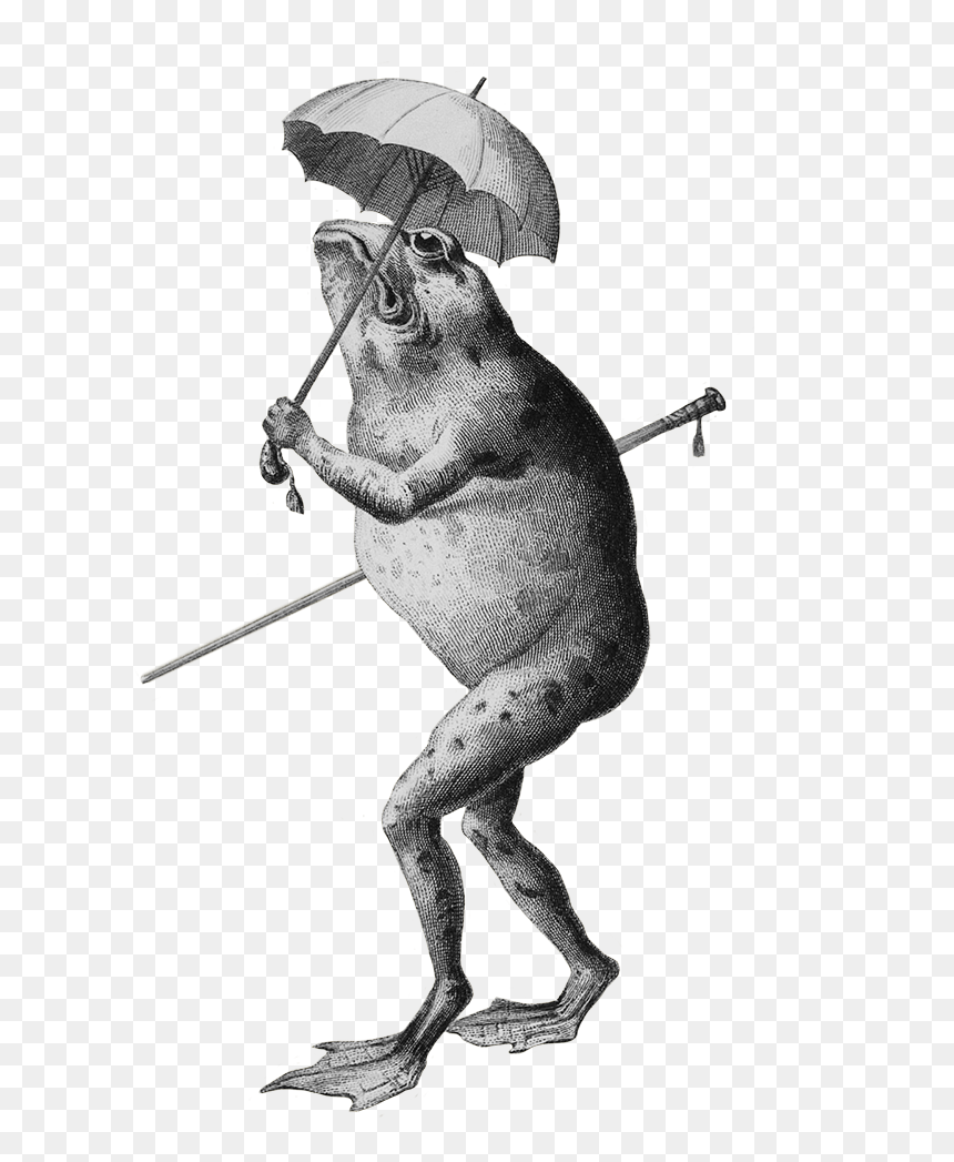 Frog Clip Art Cartoon, HD Png Download - cartoon frog png