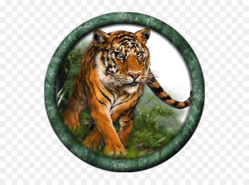 Siberian Tiger, HD Png Download - bengal tiger png