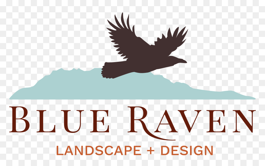 Jessica Robbin Massage - Golden Eagle, HD Png Download - golden eagle png