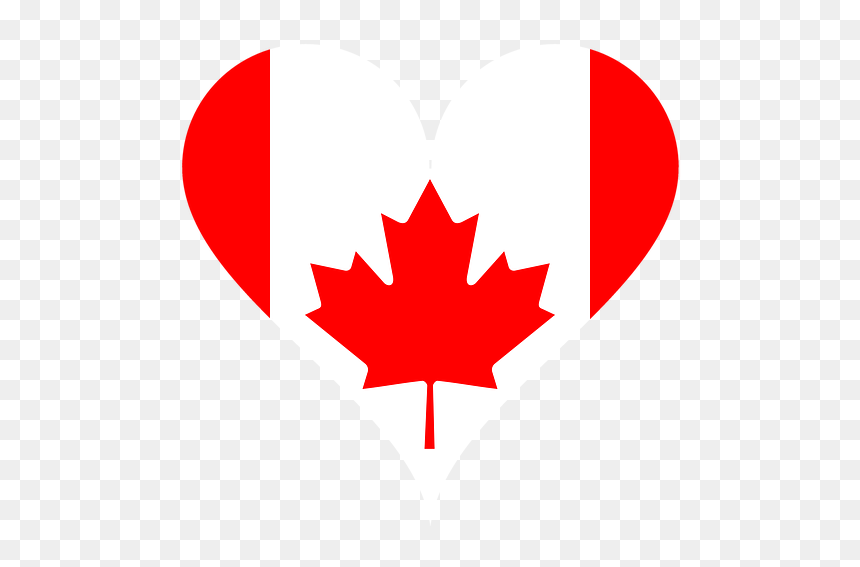 Flag Of Canada Maple Leaf Red Maple 150th Anniversary - Canada Flag Vintage, HD Png Download - red maple png