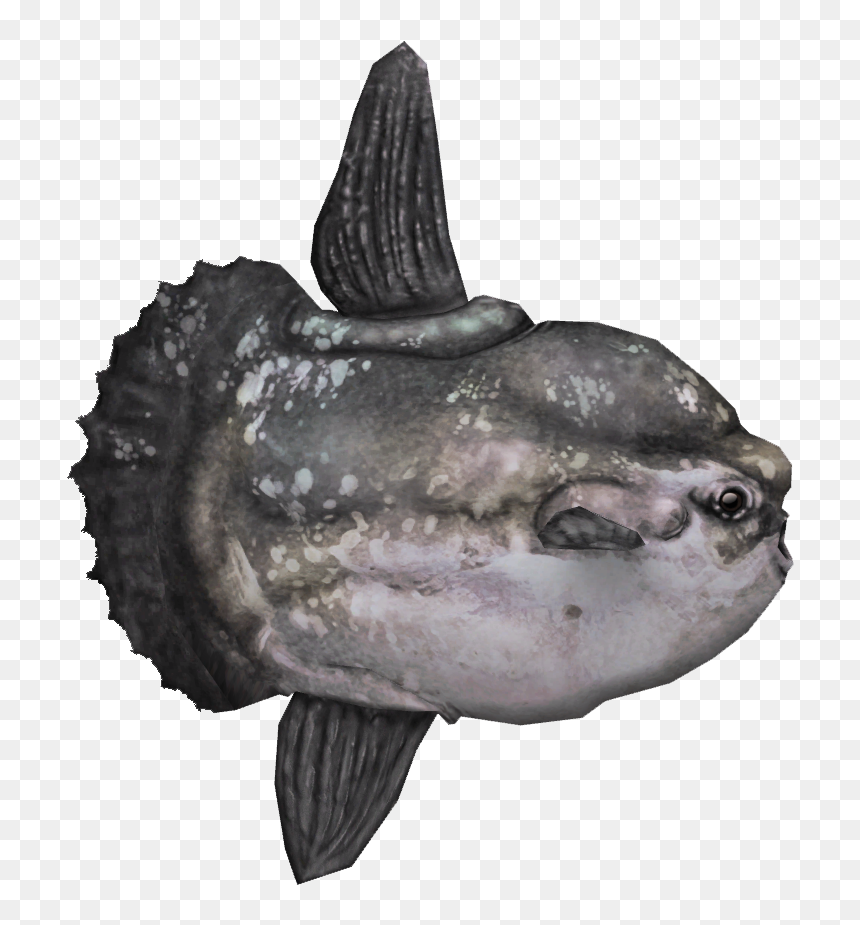 Ocean Sunfish Png, Transparent Png - swedish fish png
