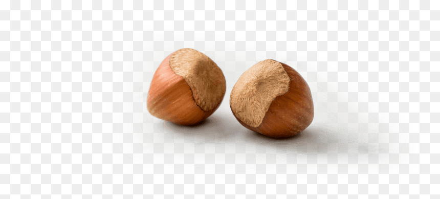 Mexican Pinyon, HD Png Download - hazelnut png