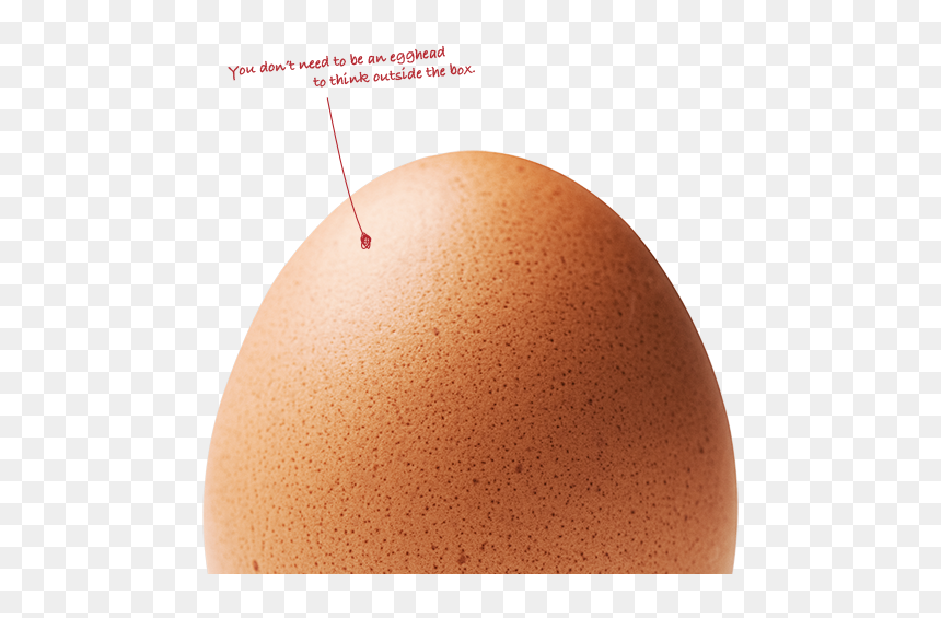 Think Knowledge - Egg, HD Png Download - egg carton png