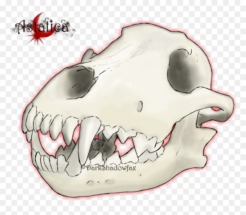 Snout Jaw Mouth Skull Cartoon - Giant Skull Cartoon, HD Png Download - wolf skull png