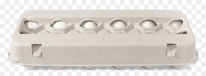 Plastic Egg Carton - Bench, HD Png Download - egg carton png