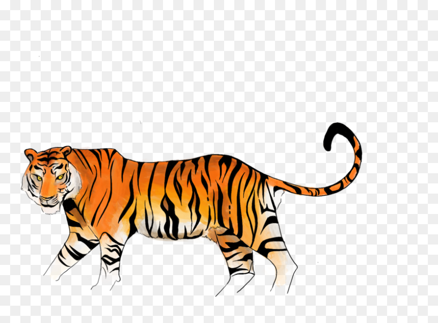 Siberian Tiger, HD Png Download - bengal tiger png