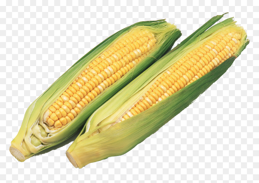 Transparent Corn Clipart Png - 玉蜀黍, Png Download - corn clipart png
