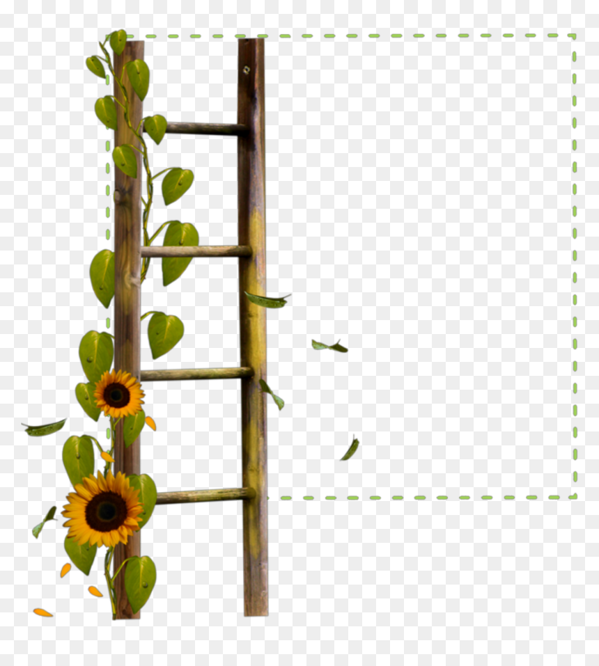 #square #green #frame #ladder #sunflower #flowers #borders, HD Png Download - green frame png