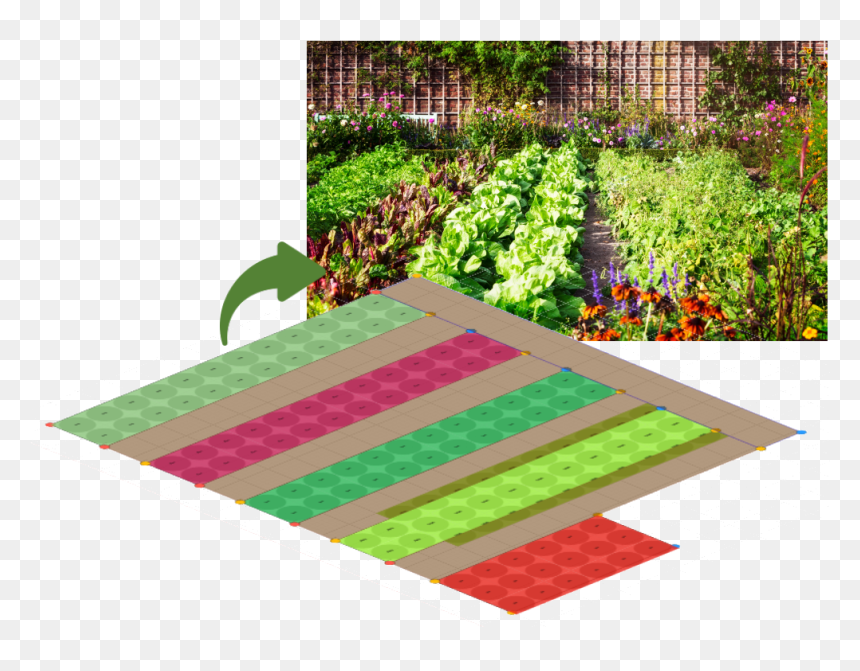 Vegetable Garden, HD Png Download - groundcover png