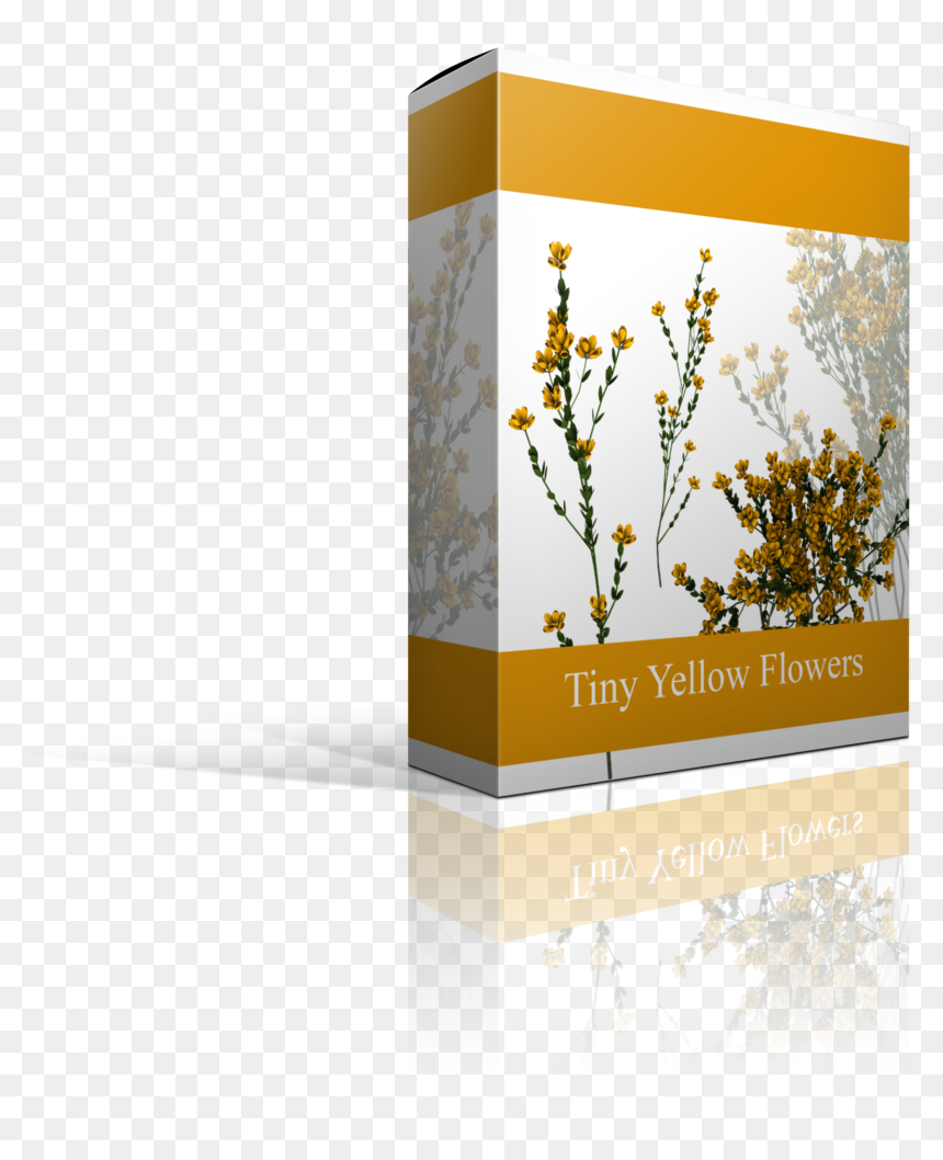 S327483270339485525 P53 I55 W2560 - Camomile, HD Png Download - gold overlay png