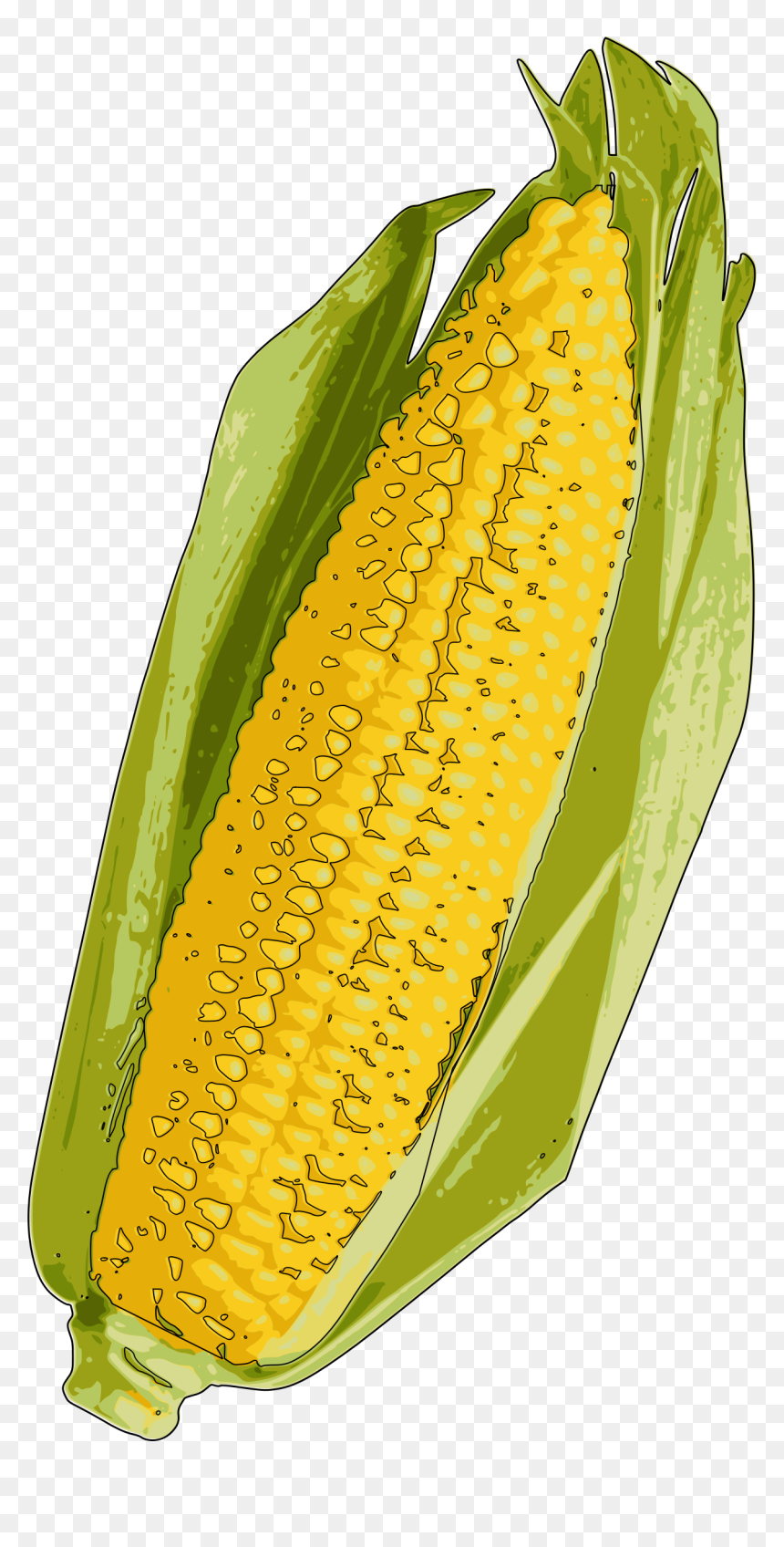 Big Image Png - Clip Art Cob, Transparent Png - corn clipart png