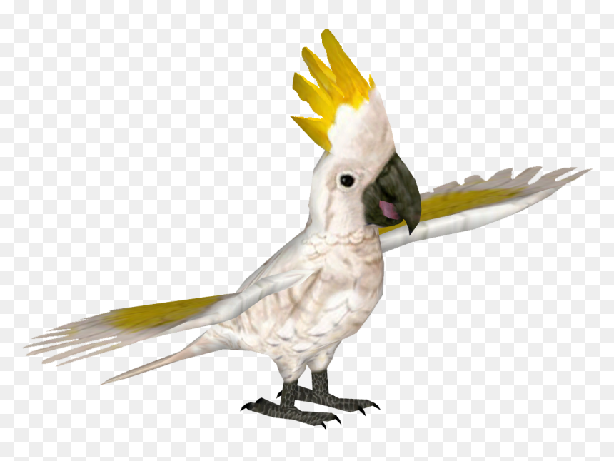 Greater Sulphur Crested Cockatoo - Sulphur-crested Cockatoo, HD Png Download - cockatoo png
