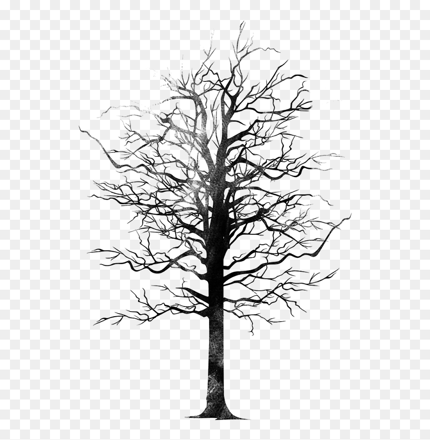 Bird Tree Png Monochrome- - Tree, Transparent Png - dark tree png