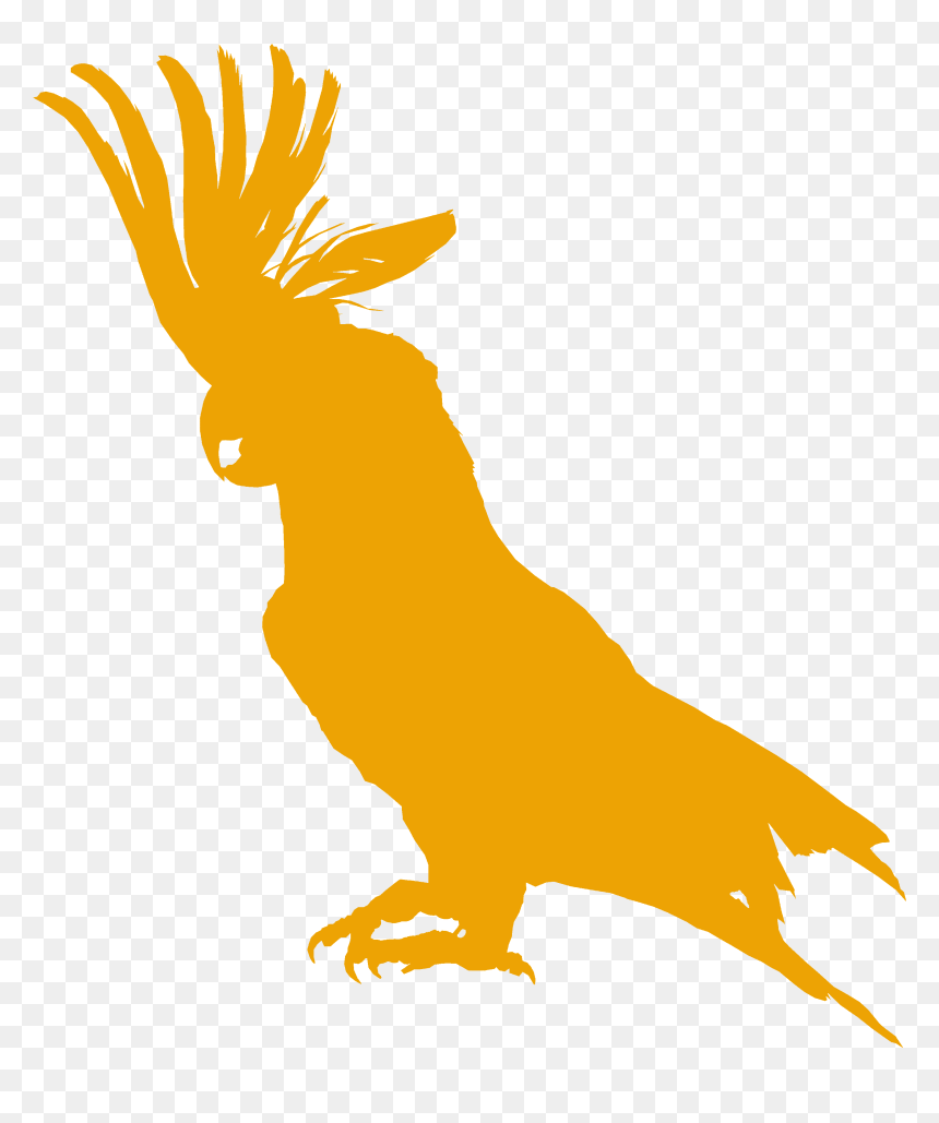 The Cockatoo Bar & Restaurant - Cockatoos, HD Png Download - cockatoo png