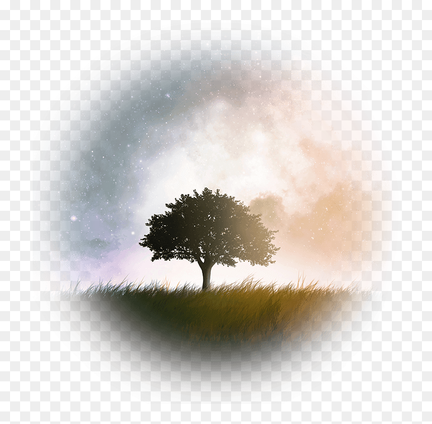 Galaxy Tree Wallpaper Iphone, Hd Png Download - Small Thought For Nature, Transparent Png - dark tree png