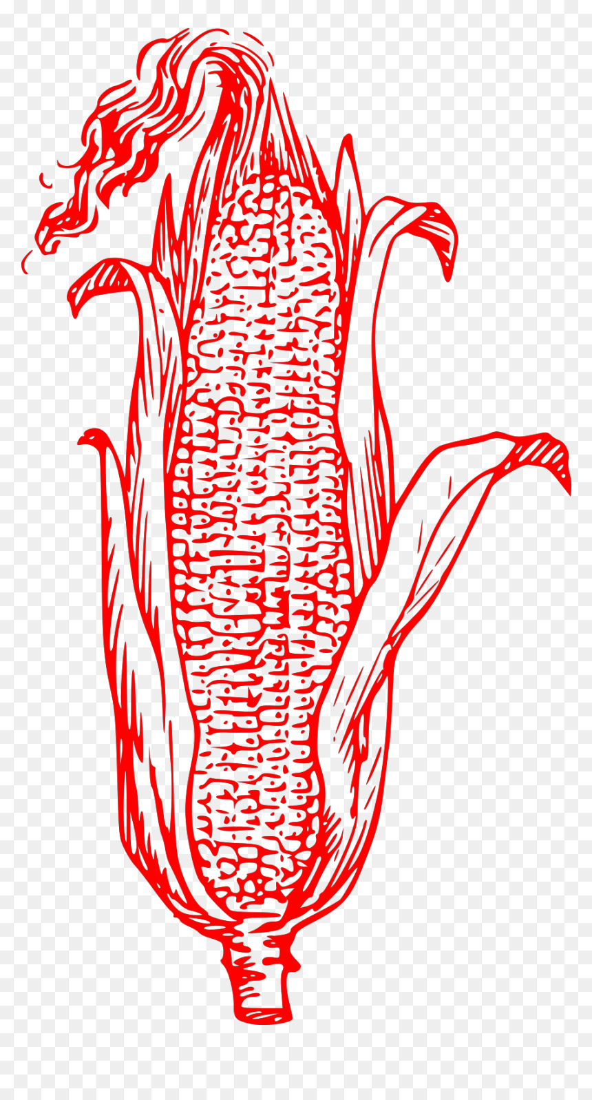 Ear Of Corn Vector, HD Png Download - corn clipart png