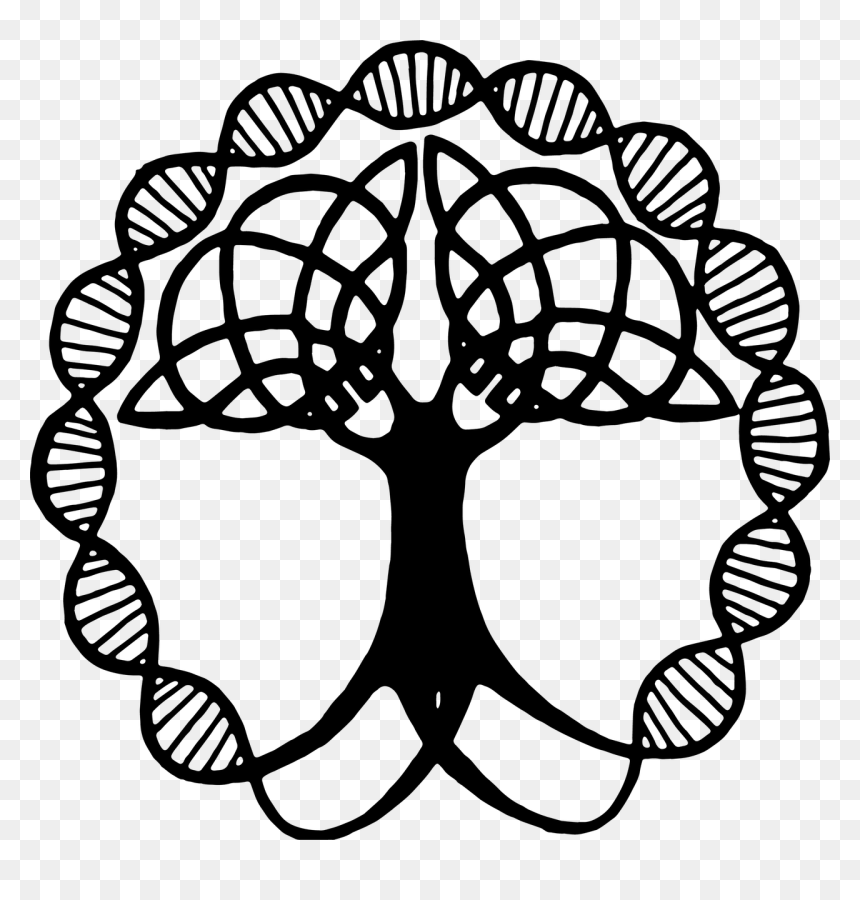 Simbolos Que Representen A La Familia, HD Png Download - celtic tree of life png