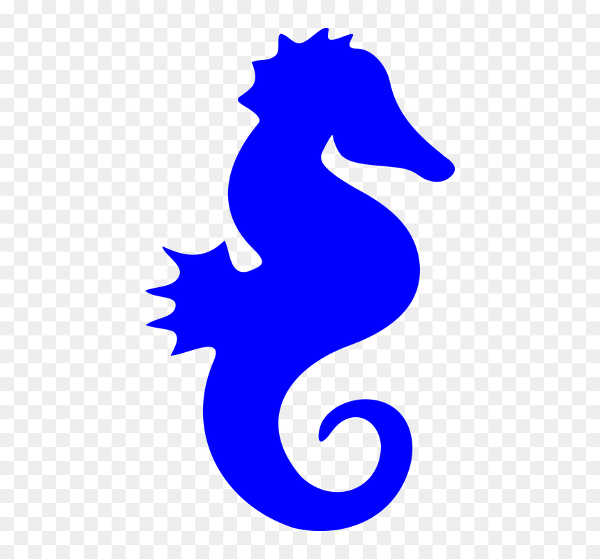 Blue Sea Horse Clip Art, HD Png Download - sea horse png