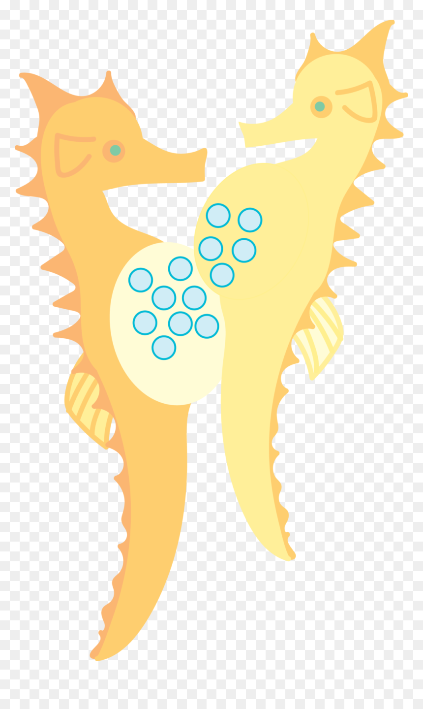 Seahorse, HD Png Download - sea horse png