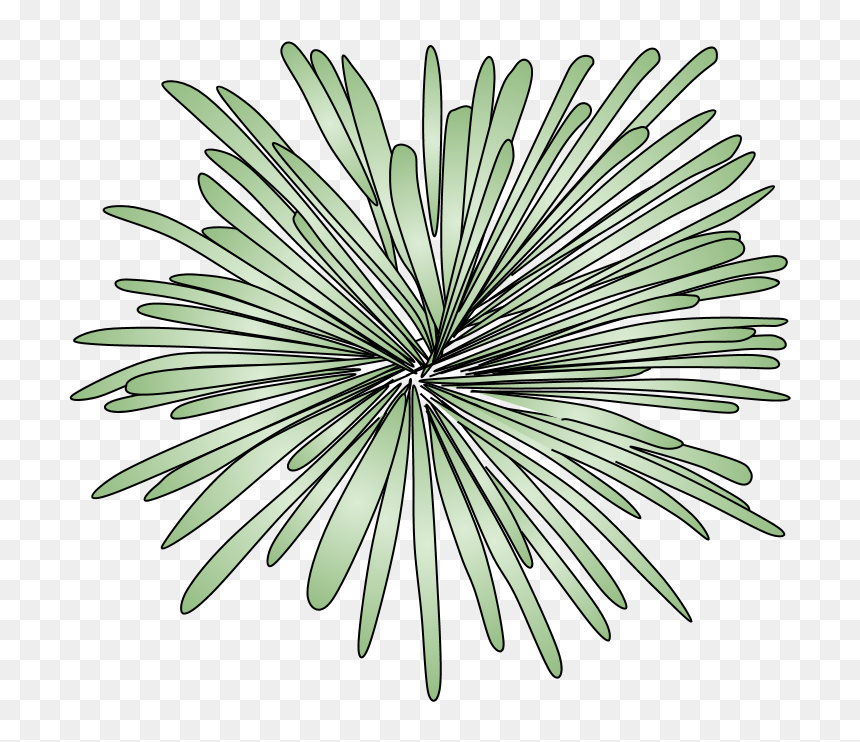 Fireworks, Burst, Style 2, Green - Portable Network Graphics, HD Png Download - white fireworks png