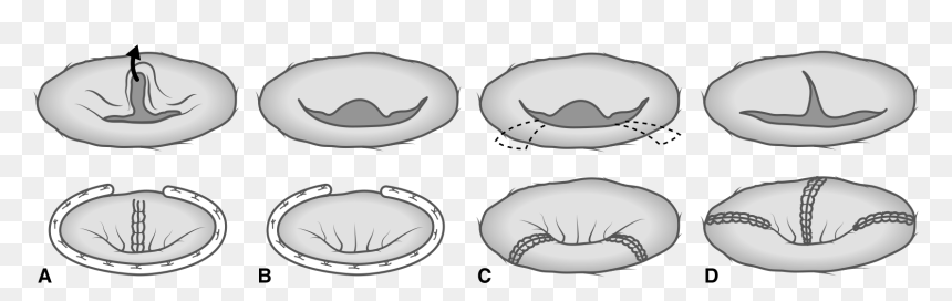 Clip Art, HD Png Download - lips outline png