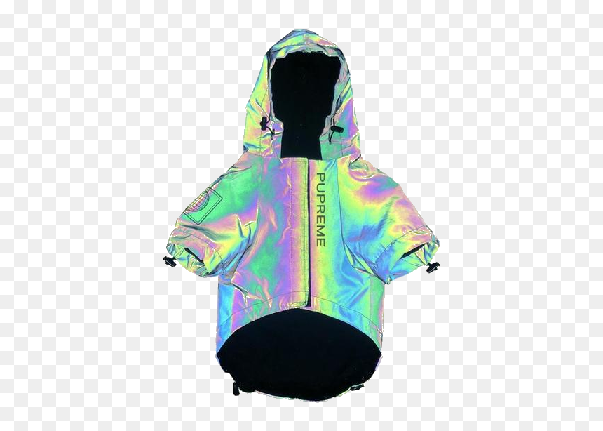 Reflective Dog Windbreaker, HD Png Download - interstellar png