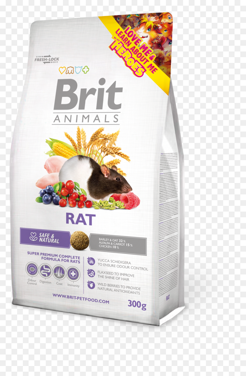 Brit Animals Rat, HD Png Download - rats png