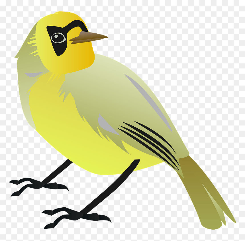 Bonin White-eye Bird Clipart - めじろ めぐろ, HD Png Download - white eye png