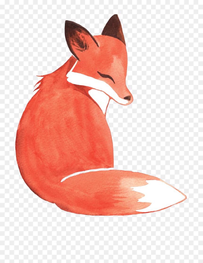 Weileash Available On Redbubble - Fox Watercolor, HD Png Download - baby fox png
