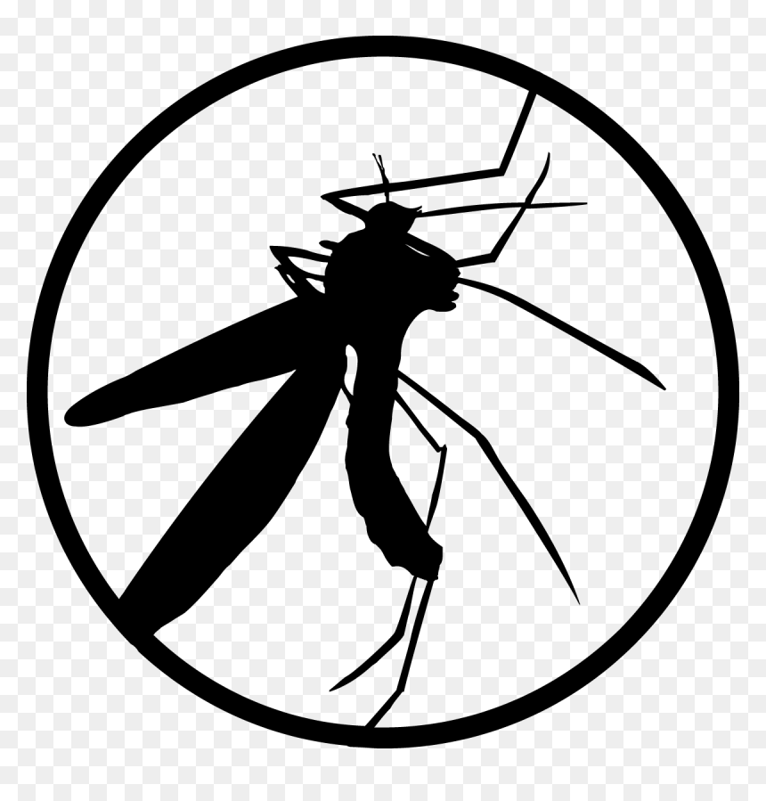 Creation Lab Icon - Jurassic Park Icon Png, Transparent Png - park icon png