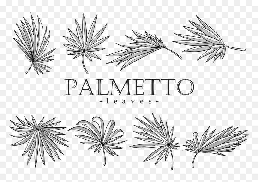 Palmetto Leaves Vector - Line Art, HD Png Download - dandelion vector png