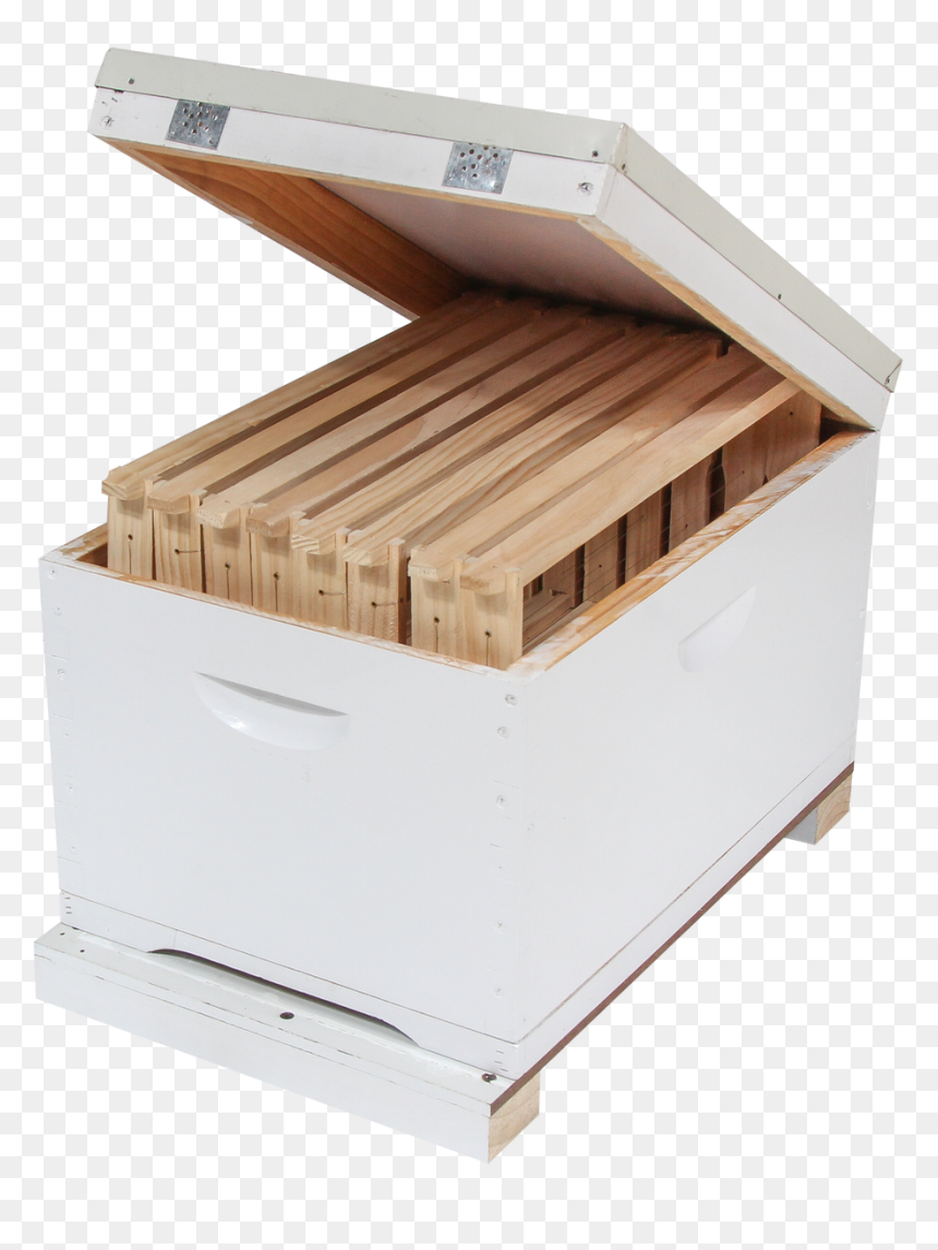 Hive Kit Single - Plywood, HD Png Download - supplies png